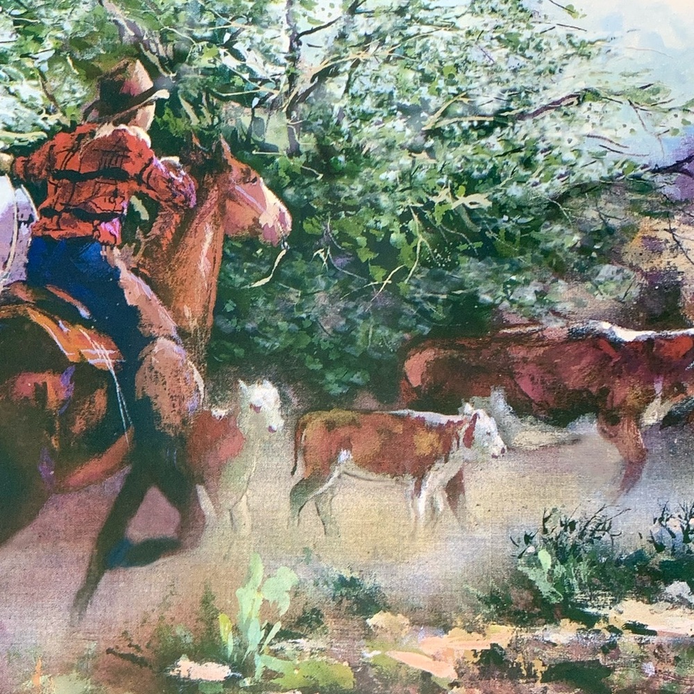 Western Wallpaper Border - Picture 3 of 6